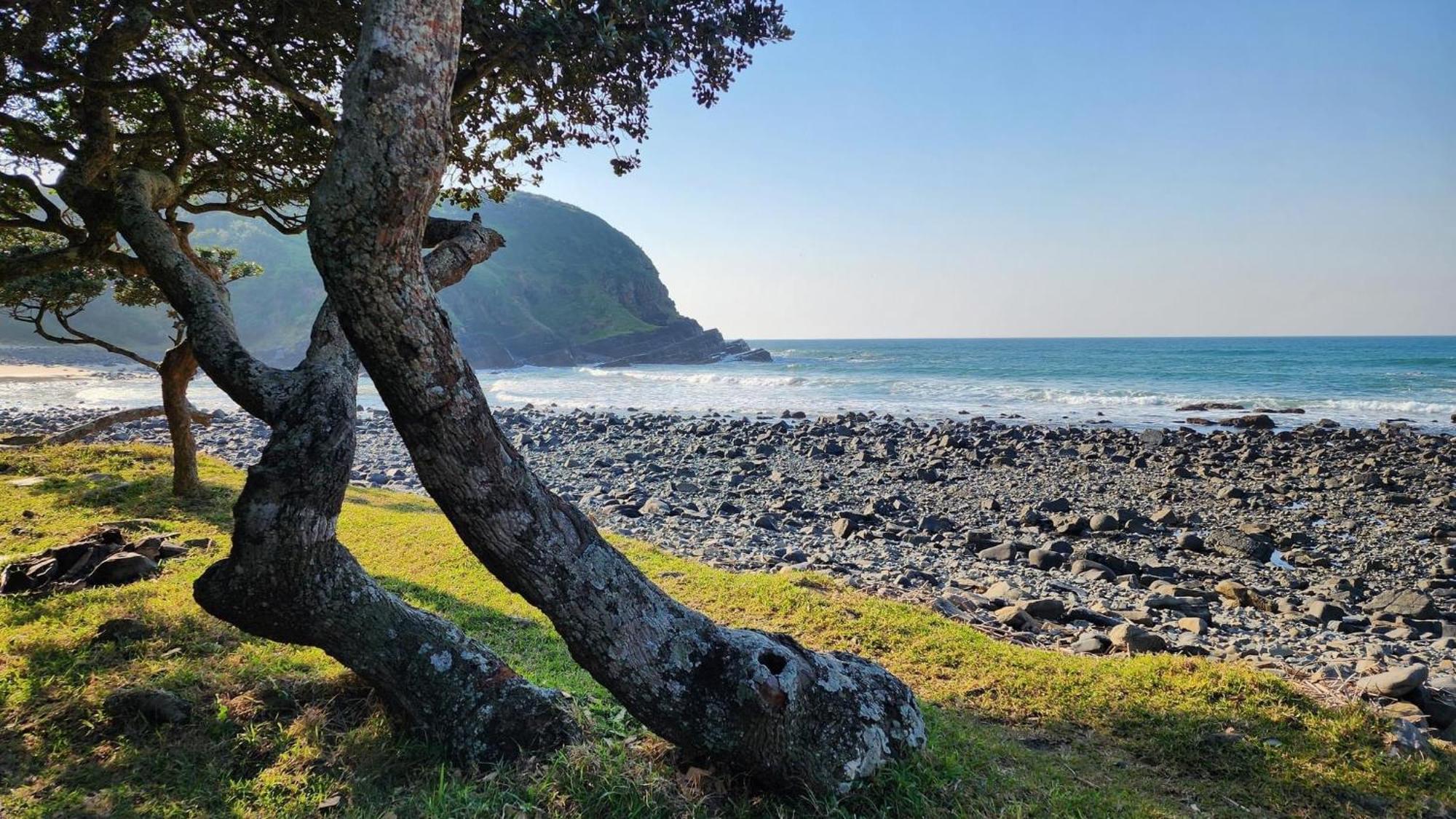 Coram Deo Saltywaves Double En-Suite Rooms With Sea Views คอฟฟีเบย์ ภายนอก รูปภาพ